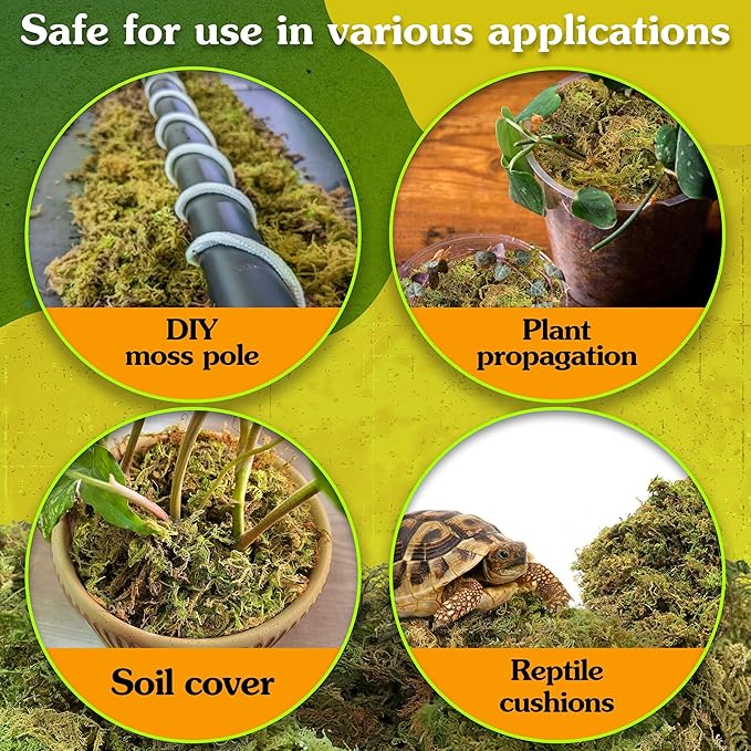 Natural Moss for Plants Indoor, Dried Moss for Potted Plants, Orchid Moss for Repotting, Forest Moss for Orchid Potting Mix, Decorative Moss Filler for Planters and Craft Moss (15oz)