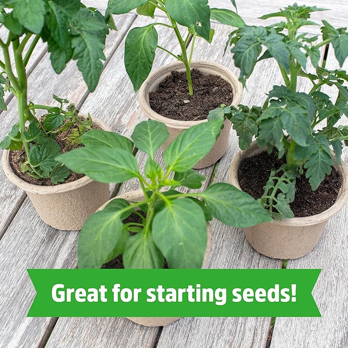 Back to the Roots Organic Coco Coir Value Pack | 10lb Compressed Block Expands to 15 Gallons