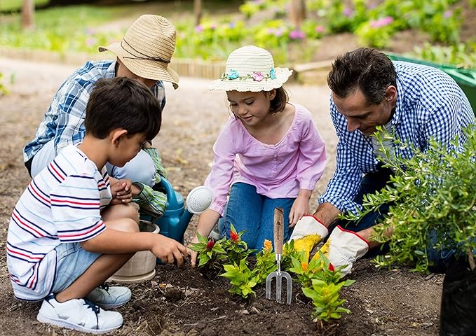 3 Piece Garden Hand Tool Set Extra Large Stainless Steel with Timber Handles Trowel Fork and Multitool