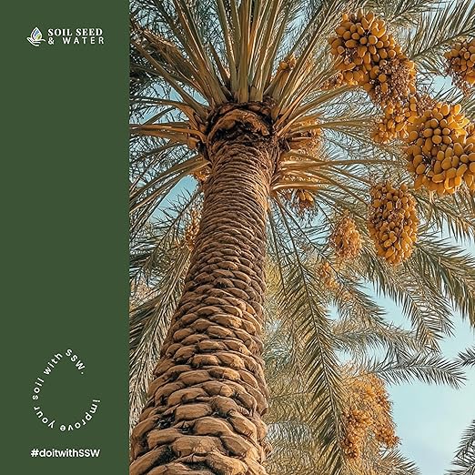 Soil Seed & Water Oasis Blend Concentrated Organic Soil Amendment Fertilizer for Palm & Date Trees