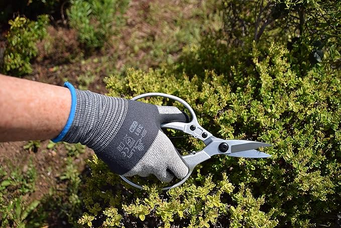 Spear & Jackson 4452JS Razorsharp Japanese Style Scissors, Silver