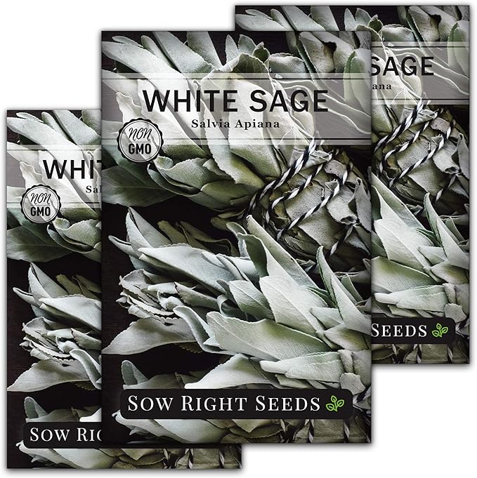 Sow Right Seeds - White Sage Seed for Planting - Non-GMO Heirloom Packet with Instructions for Planting and Growing a Home Herb Garden - Indoors or Outdoors - Make Your Own Herbal Incense (3)