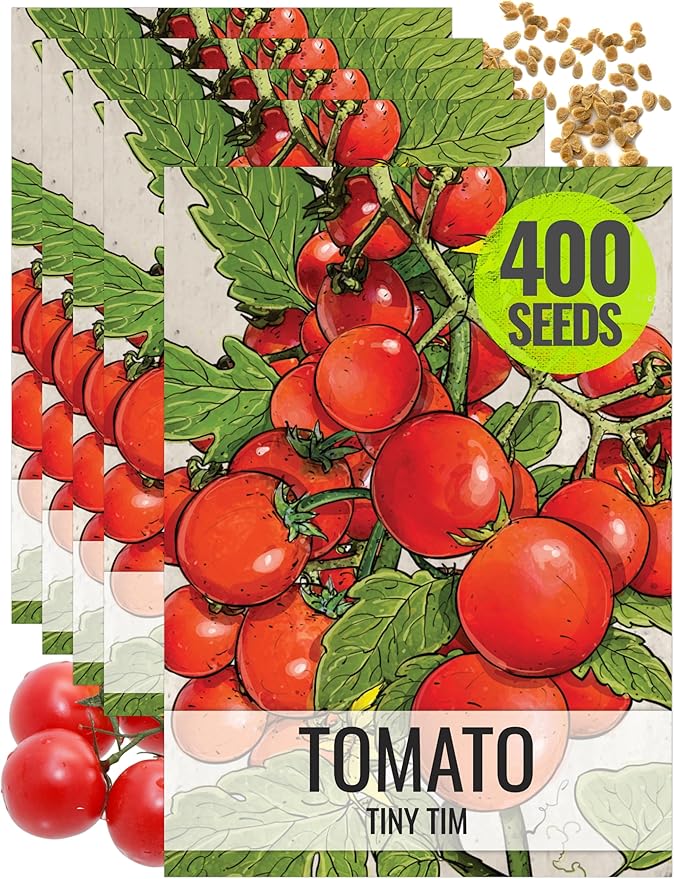 Seed Needs Tiny Tim Tomato Seeds for Planting - Non-GMO, Heirloom & Untreated - Organically Grow an Outdoor Vegetable Garden - Dwarf Plants Produce Cherry Tomatoes (5 Packs)