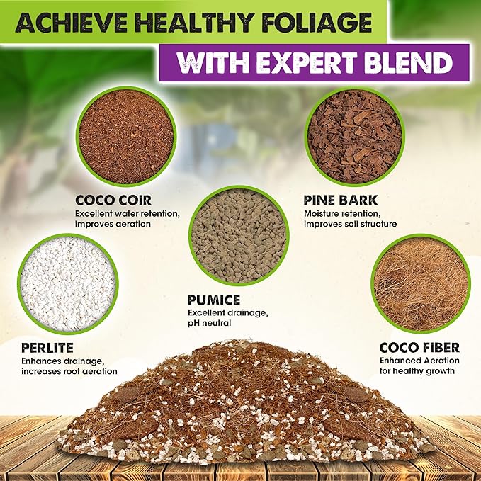 DUSPRO Recycle Fiddle Leaf Fig Soil Specialized for Fiddle Leaf Fig Plant Indoor 5-in-1 Pre-Mixed with Coco Coir, Coconut Fiber, Perlite, Pumice, Pine Bark Ready-to-Use Handmade Mix Drainage 6 QRT