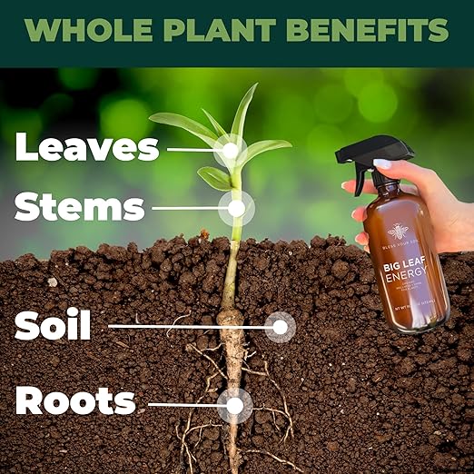 Big Leaf Energy : Concentrated Refill : Pure Organic Cold Pressed Neem + Essential Oils (118 mL, Makes 4 gallons) for Plant Wellness