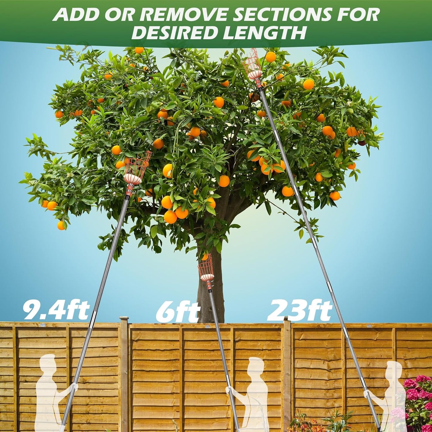 Walensee 23FT Fruit Picker, Adjustable Fruits Picker Tool with Fiberglass Pole, Big Basket and Storage Bag, Fruit Catcher Equipment Tree Picker for Lemons Apples Mango Orange Avocados Fruit Picking