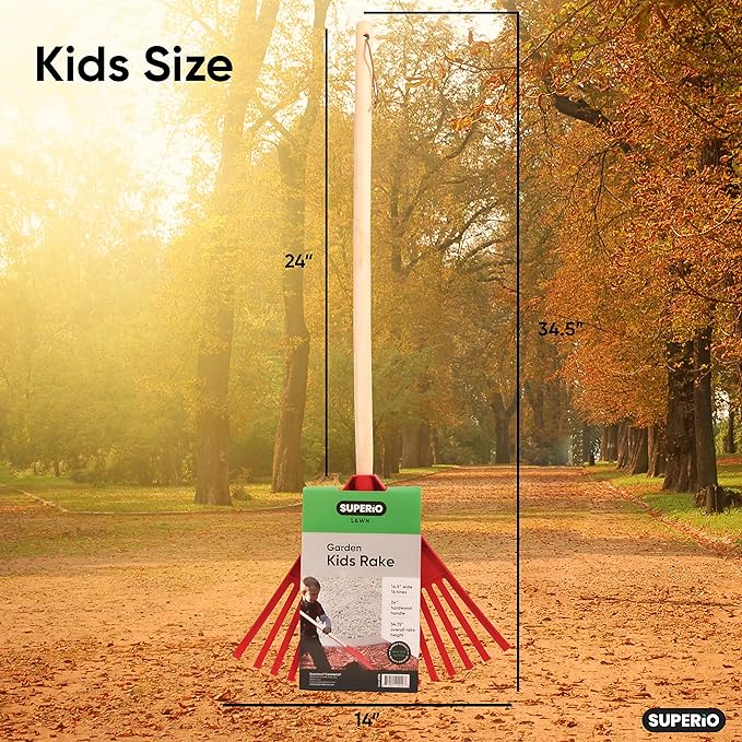 Superio Kids Rake with Hardwood Handle, Durable Plastic Head to Sweep Leaves in Lawn and Tidying Up The Garden, 34"