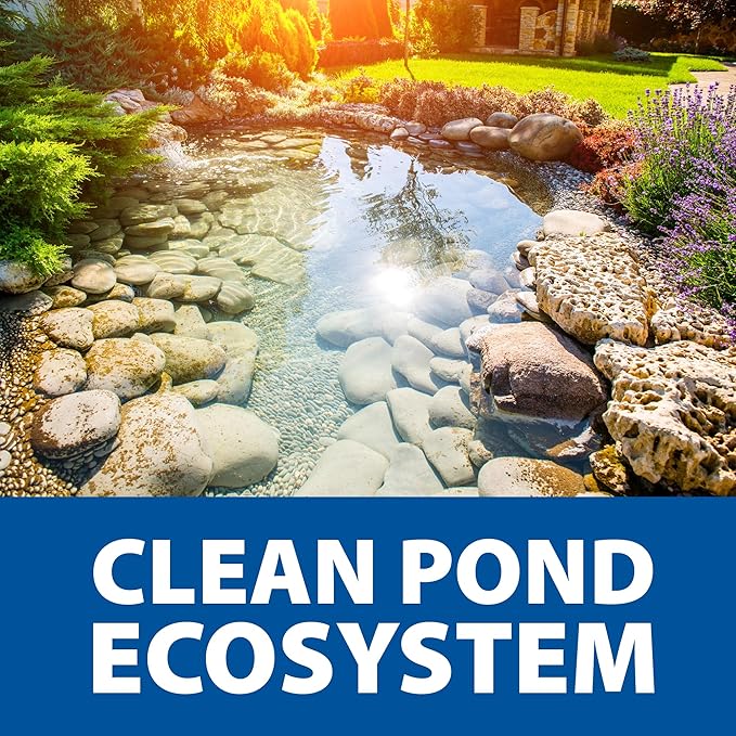 The Pond Guy Seasonal Defense, Spring & Fall Beneficial Bacteria, Barley & Enzymes, Cold Water Pond Sludge & Scum Treatment, Fish & Plant Safe, 24 Packets