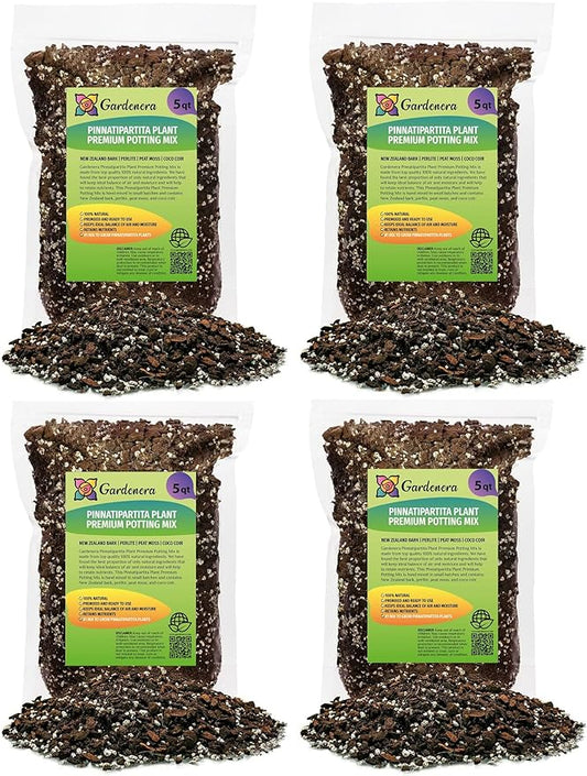 Monstera Pinnatipartita Plant Potting Mix - Trusted by Gardening Experts for Vibrant and Healthy Plants - 20 Quart (4 Bags of 5 Quart)