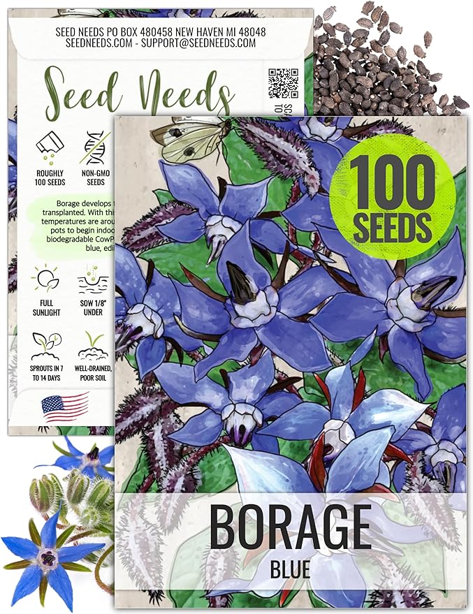 Seed Needs, Blue Borage Herb Seeds for Planting (Borago officinalis) Heirloom, Non-GMO & Untreated, Edible Flowers (1 Pack)