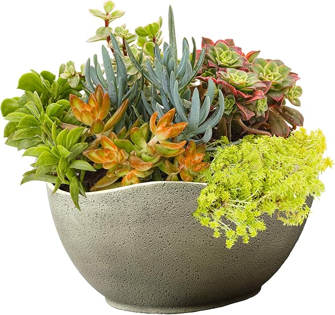 Classic Home and Garden Arc Pot 12" - Stone