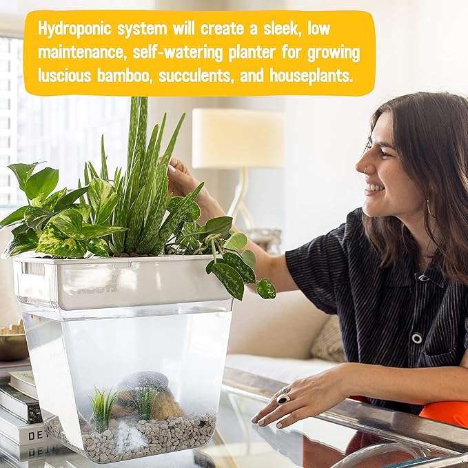 Back to the Roots Indoor Hydroponic Garden - 3 Gallon Self Watering, Mess-Free Planter for Herbs, Microgreens, Bamboo, Succulents, and Houseplants, Green