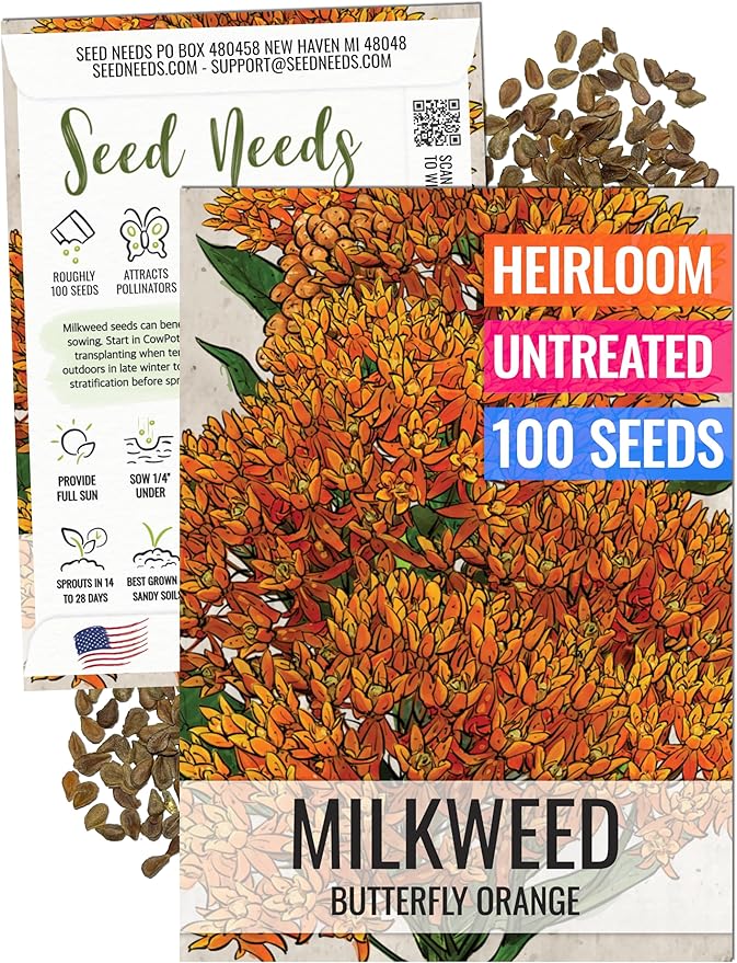 Seed Needs Orange Butterfly Milkweed Seeds for Planting - Heirloom & Untreated - Grow a Butterfly Garden to Attract Monarch Butterflies & Pollinators (1 Pack)