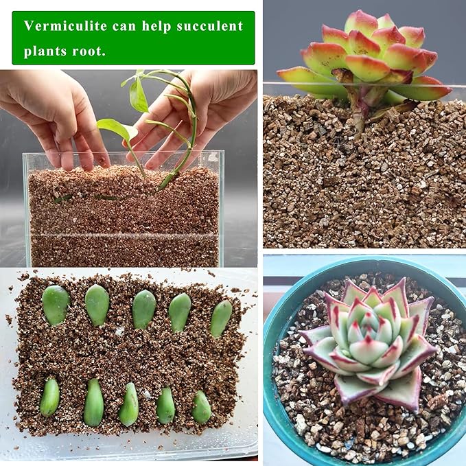 2QT Organic Vermiculite, Horticultural Vermiculite for Plants, Soil for Potted Plants, Vermiculite Coarse Hydroponic for Succulent Orchid Gardening Reptiles