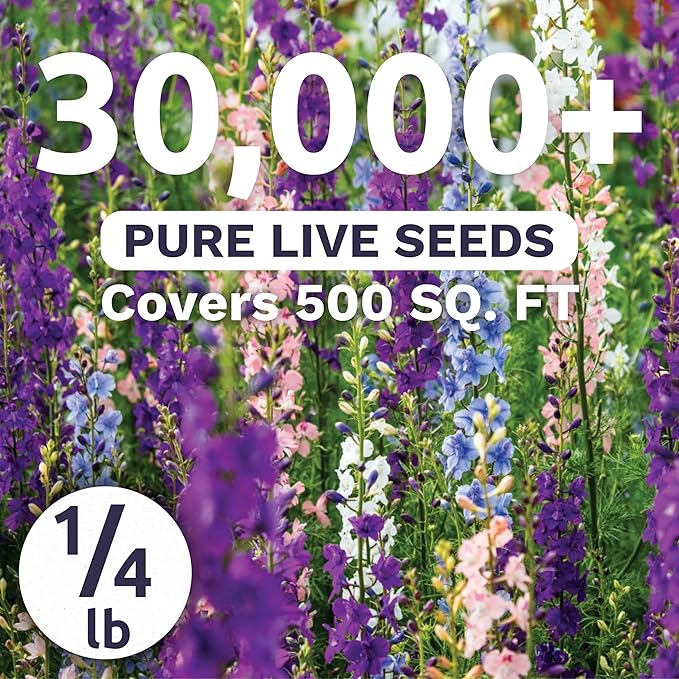 Rocket Larkspur - Imperial Mix - Bulk 1/4 Pound Pouch - 30,000 Flower Seeds for Planting - Consolida ajacis