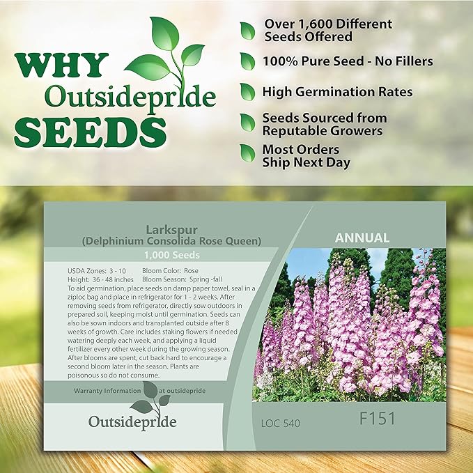 Outsidepride 2000 Seeds Delphinium Rose Larkspur Flower Seeds for Planting
