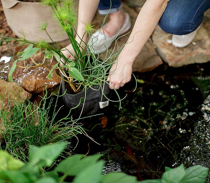 Smart Pot Pond Flexible Aquatic Plant Container for Water Gardening, 15 Gallon