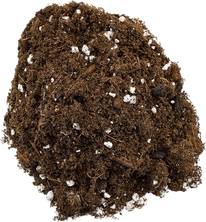 Premium Fiddle Leaf Fig Tree Soil (12 Quarts) - Expert Formula for Vibrant Growth - Nutrient-Rich Potting Mix, Specifically Designed for Healthy Indoor, Outdoor, and Potted Fiddle Fig Plants