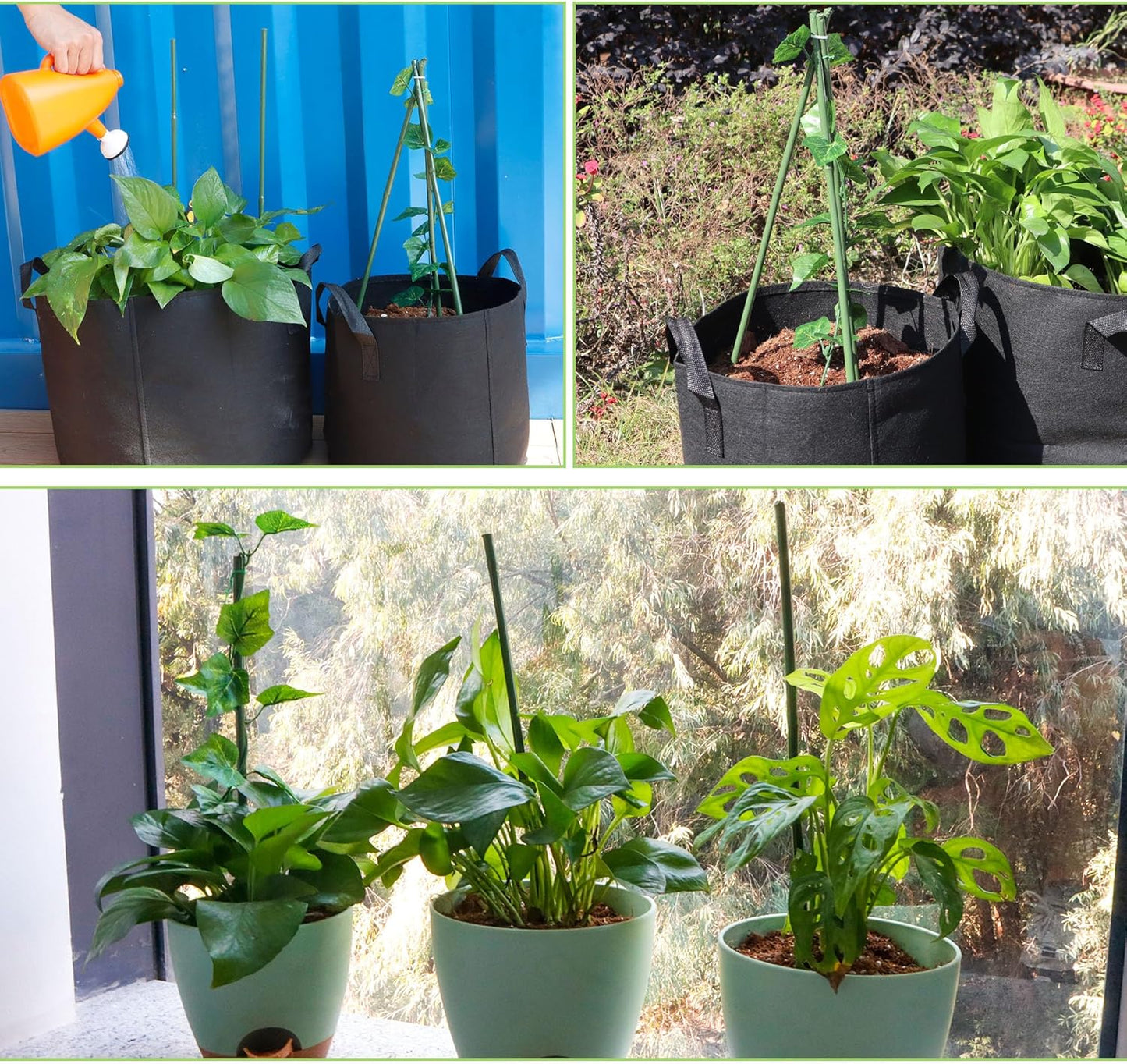 50Pcs 16in Bamboo Sticks for Indoor Outdoor Plants, 0.29"-0.38" Natural Bamboo Poles, Durable Garden Stakes for Tomatoes, Beans, Flowers and Potted Plants