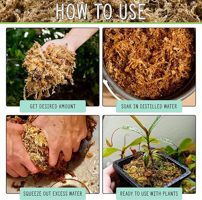 All Natural Sphagnum Moss Potting Mix (2 Quarts), Dried Moss Blend for Carnivorous Plants, Orchids, Top Dressing, and More