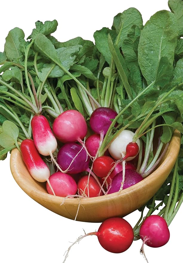 Burpee Cook's Custom Blend Radish Seeds 575 seeds