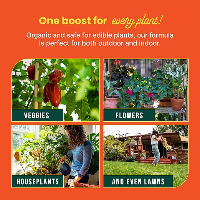 Sunday Organics Soil Boost - Enhance Soil Health & Promote Vigorous Plant Growth - Made with Vermicompost Extract & Humic Acid - 32 Fl Oz, 2 Pack