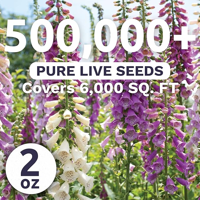 Foxglove Mixed Colors - Bulk 2 Ounce Pouch - 500,000 Flower Seeds for Planting - Digitalis purpurea
