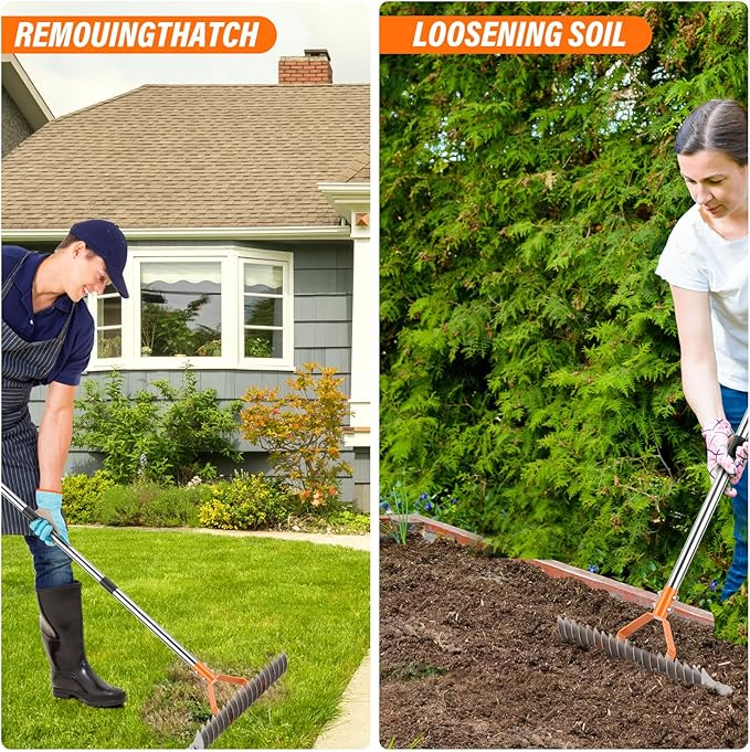 62" Thatch Rake, 19 Double-Sided Tines, 15-Inch Wide Lawn Rake, Adjustable Handle Garden Rake for Dethatching, Gardening, Yard Work, Heavy Duty Dethatcher Rake and Rock Rake