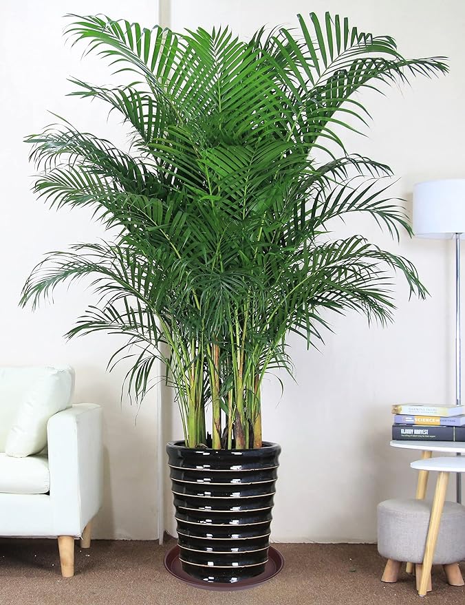 4 Pack of 18 19 inch Plant Saucer Drip Tray (16.6 inch Base), Heavy Duty Large Deep Plant Saucers for Pots, Bird Bath Bowls, Plastic Planter Water Trays for Indoors Outdoor (18", Chocolate)