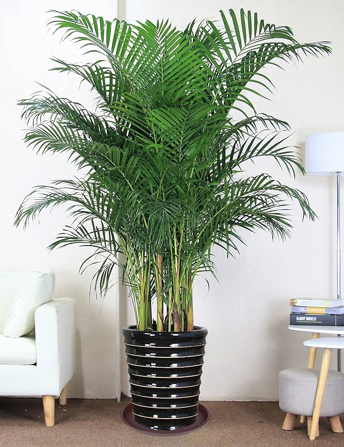 4 Pack of 16 inch Plant Saucer, Heavy Duty Round Plant Trays for Pots, Bird Bath Bowls, Plastic Plant Water Tray, Flower Plant Saucers for Indoors (16", Chocolate)