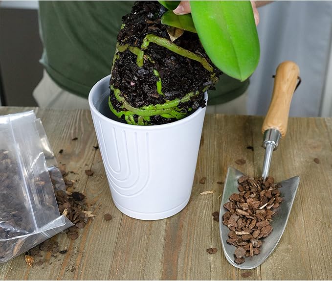 100% Natural Pine Bark Mulch Nuggets (4 Quarts), Small Mulch Chips for Indoor/Outdoor Container Gardening, Ideal for Soil Supplement, Houseplant Mulch