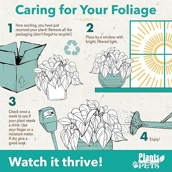 Variegated Milk Confetti Syngonium Plant (Approx. 14" Tall) in 6 Inch Pot, Easy House Plant Arrowhead Plant, Live Indoor Plant, Desk Plant & Office Plant, Unique Plant Lover Gifts by Plants for Pets