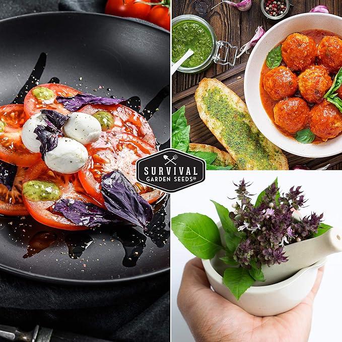 Survival Garden Seeds - Thai Basil Seed for Planting - Packet with Instructions to Plant and Grow Asian Basil Indoors or Outdoors in Your Home Vegetable Garden - Non-GMO Heirloom Variety - 5 Pack