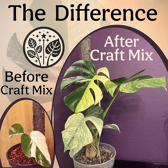 Craft Aroid Potting Mix- Elite Alocasia, Philodendron, Monstera Soil Mix, Chunky, Well Draining Potting Soil for Indoor Plants, All Tropical Plants & Houseplants, Synthetic & Peat Free 2QT