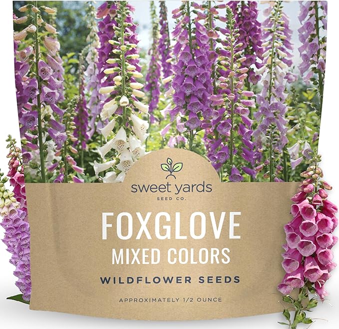 Foxglove Mixed Colors - Large 1/2 Ounce Packet - 125,000 Flower Seeds for Planting - Digitalis purpurea