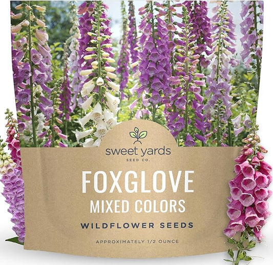 Foxglove Mixed Colors - Large 1/2 Ounce Packet - 125,000 Flower Seeds for Planting - Digitalis purpurea
