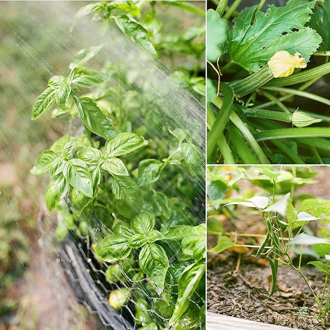 Sereniseed Certified Organic Vegetable Seeds (10-Pack) – Non GMO, Open Pollinated - Basil, Snap Pea, Broccoli, Bean, Jalapeno, Tomato, Lettuce, Cucumber, Carrot, Zucchini Seeds for Planting