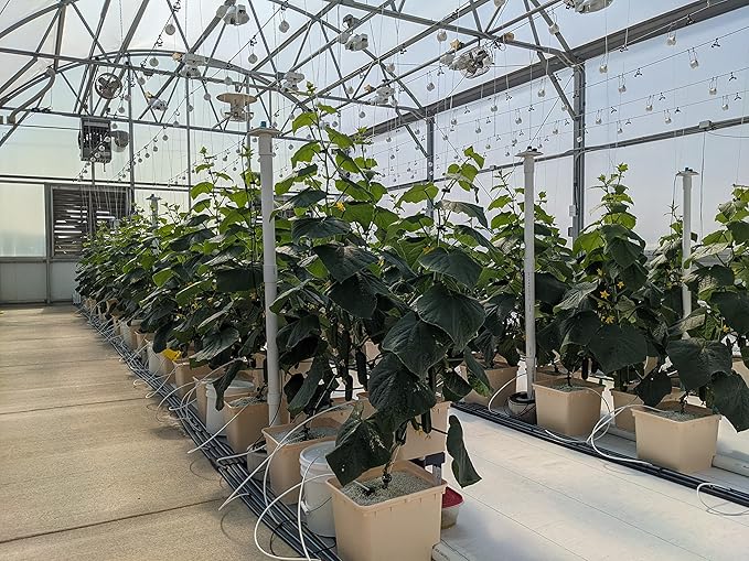 Perlite Horticultural Soil Amendment – Enhances Drainage and Aeration for Plants, Ideal for Root Cuttings, Seedlings, and Hydroponic Systems, OMRI-Listed, 100% Organic (24 QT)