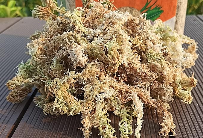 1.1 lb Sphagnum Moss for Plants, Carefully Selected Clean Sphagnum Mos for Rooting Plants