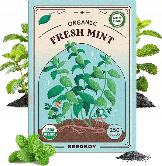 Organic Peppermint Herb Seeds for Indoor Gardening or Planting Outdoors, Non-GMO and USDA Certified Herb Seed Packets, 250 Seeds/20 mg (Peppermint)