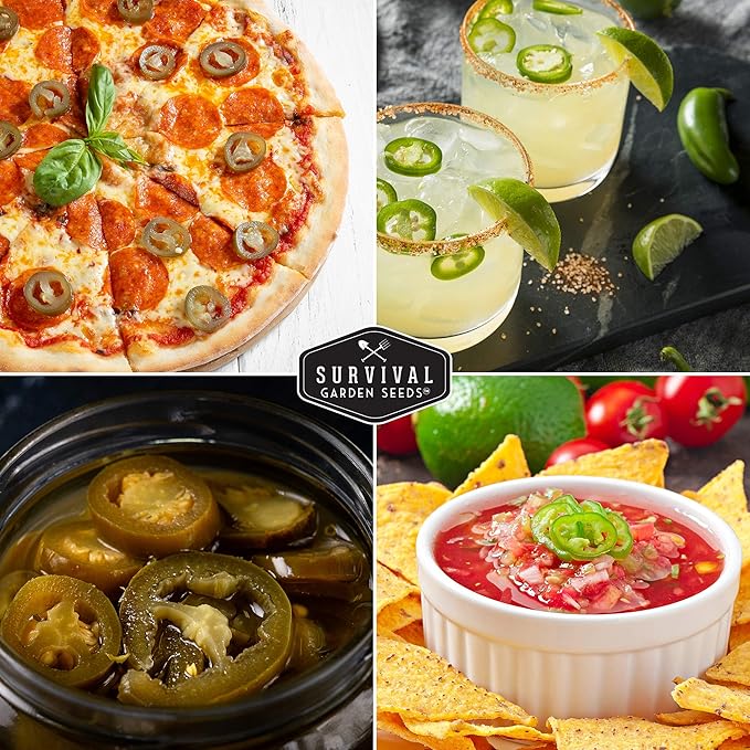 Survival Garden Seeds - Jalapeño Pepper Seed for Planting - Packet with Instructions to Plant and Grow Green or Red Chili Peppers in Your Home Vegetable Garden - Non-GMO Heirloom Variety - 2 Pack