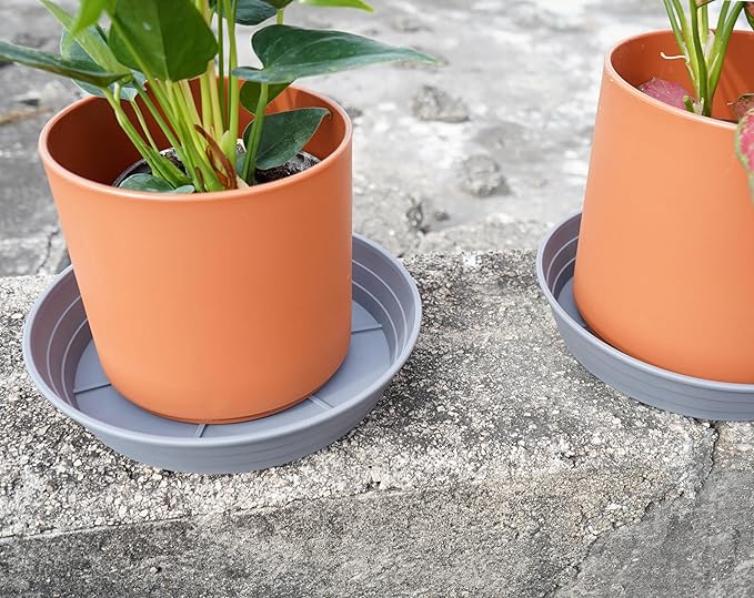 Plant Saucer 6 Inch 4 Pack 6 8 10 12 14 16 18 20 25, Plastic Plant Trays for Pots，Extra-Deep Plant Water Dray Tray, Bird Bath Bowl, Heavy Flower Plant saucers Indoors and Outdoor No Holes 6in-4 grey