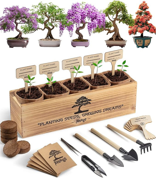Bonsai Tree Kit – 5X Unique Japanese Bonzai Trees | Complete Indoor Starter Kit for Growing Bonsai Plants with Tools & Planters – Gardening Gifts for Women & Men