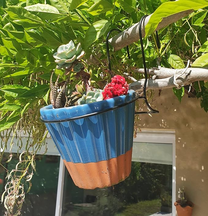 6 Pieces, 8 inches Iron hanging Flower Pot. Metal Plant Wall Hanger, Vertical Yard Garden. Planter Hook Ring, Rail Metal Fence. Indoor and Outdoor. Wire Trellis. Collapsible Bracket. (8 inches)