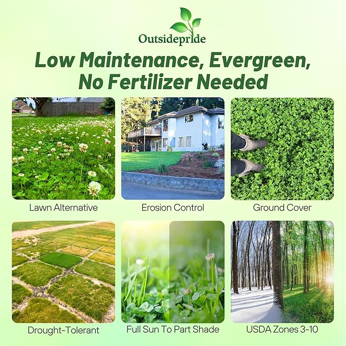 Outsidepride Perennial White Dutch Clover Seed - 10 lbs. Nitrocoated, Inoculated Clover Seeds for Lawn Alternative, Erosion Control, Food Plots, Ground Cover, & Pasture Mixtures in USDA Zones 3-10