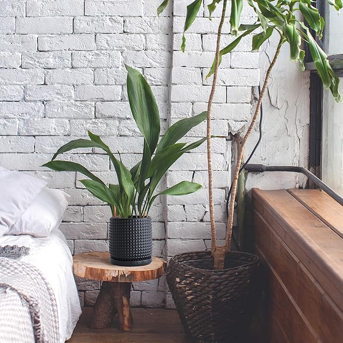 D'vine Dev 6 Inch 4 Inch Ceramic Indoor Planter Pots with Drainage Hole and Saucer, Beaded Design Flower Pots, Set of 2, Matte Black, 27-D-U-6