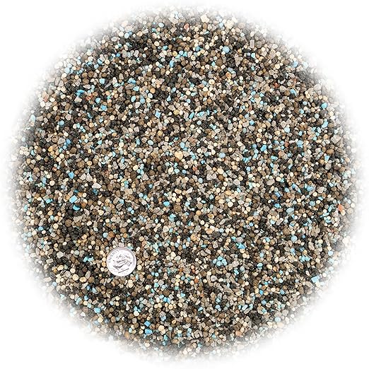 6-6-6 All Purpose Professional Garden Fertilizer - Fuel Robust Growth in Shrubs, Trees, Gardens, and Flowers - 3 QUARTS