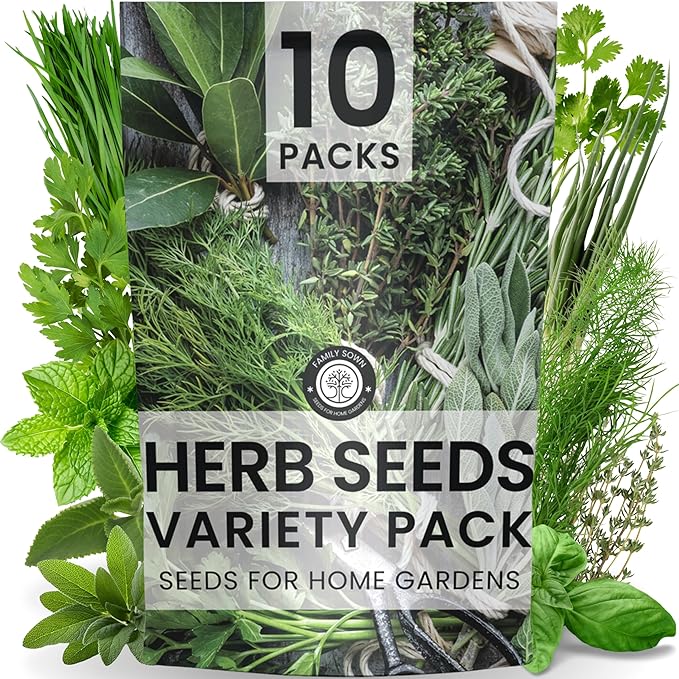 Herb Seeds | 10 Invidiual Packs | 2025 Season | Non-GMO | Mint, Parsley, Basil, Thyme & More! | for Planting Indoor & Outdoor | by Family Sown