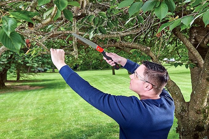 CRAFTSMAN Folding Hand Saw, 8 in. Blade, Compact Design, for Camping, Pruning, Cutting Wood, Branches or Brush