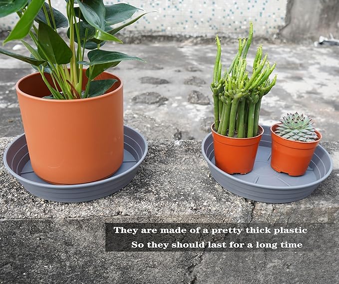 Plant Saucer 14 Inch 2 Pack 6 8 10 12 14 16 18 20 25, Plastic Plant Trays for Pots，Extra-Deep Plant Water Dray Tray, Bird Bath Bowl, Heavy Flower Plant Saucers Indoors and Outdoor No Holes